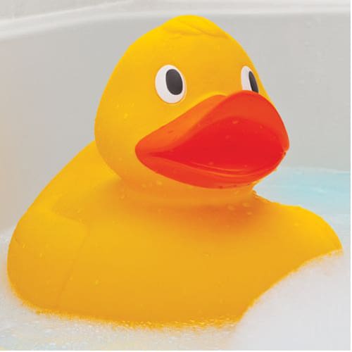 Giant Duck - Little Splash Time