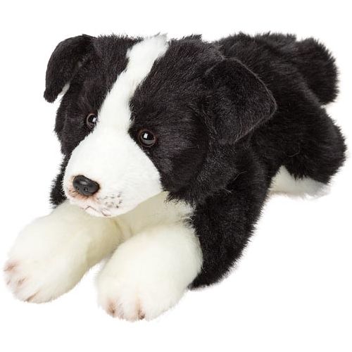 Resting Border Collie - Snuggle Time Buddy